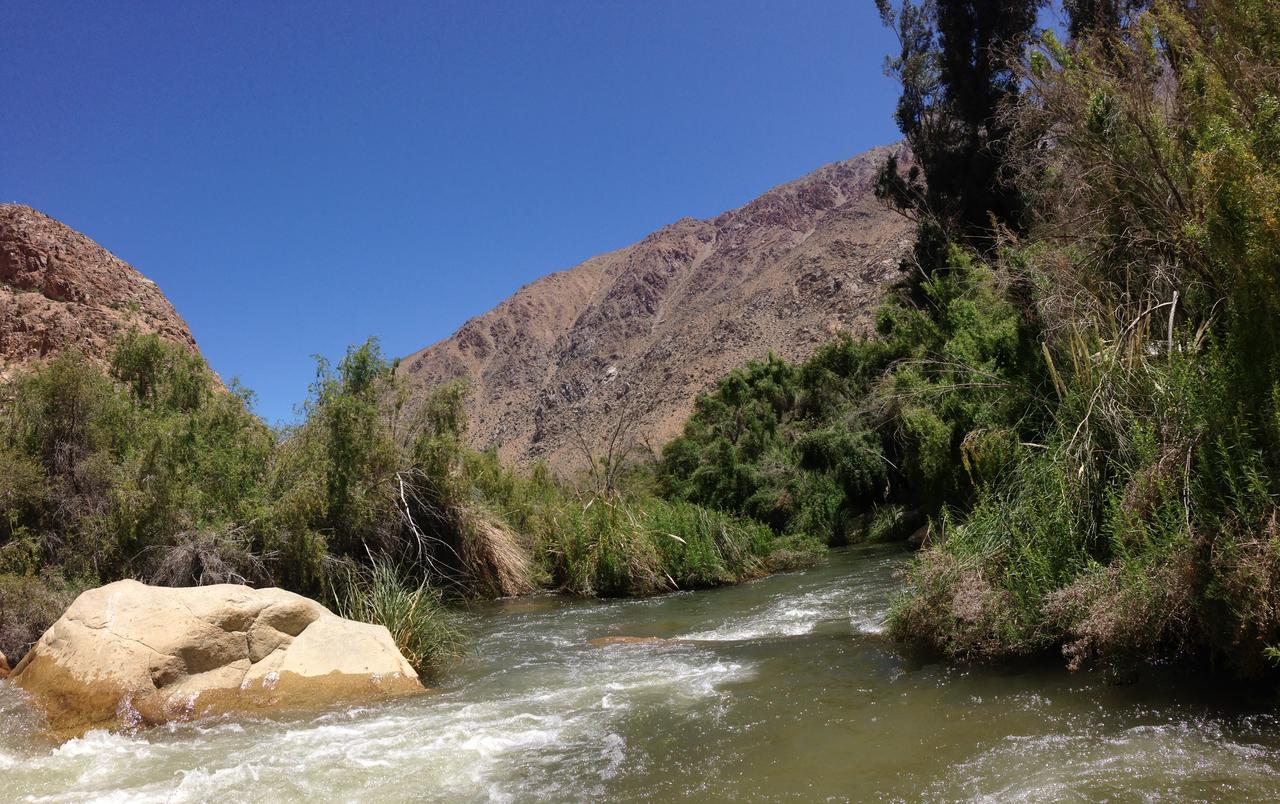 Cabanas El Albaricoque Cochiguaz El Sanjeado Luaran gambar