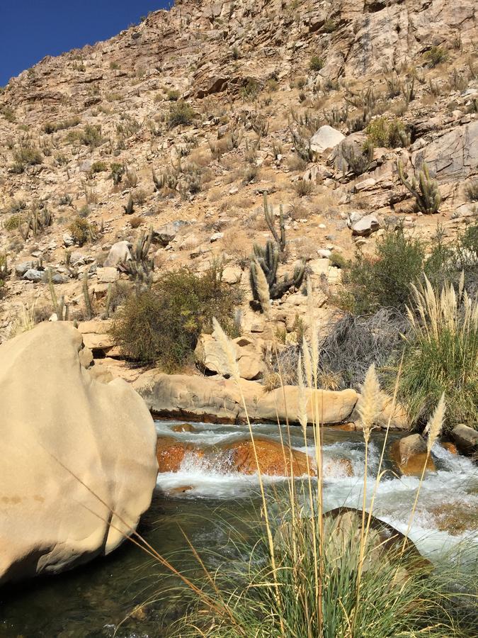 Cabanas El Albaricoque Cochiguaz El Sanjeado Luaran gambar