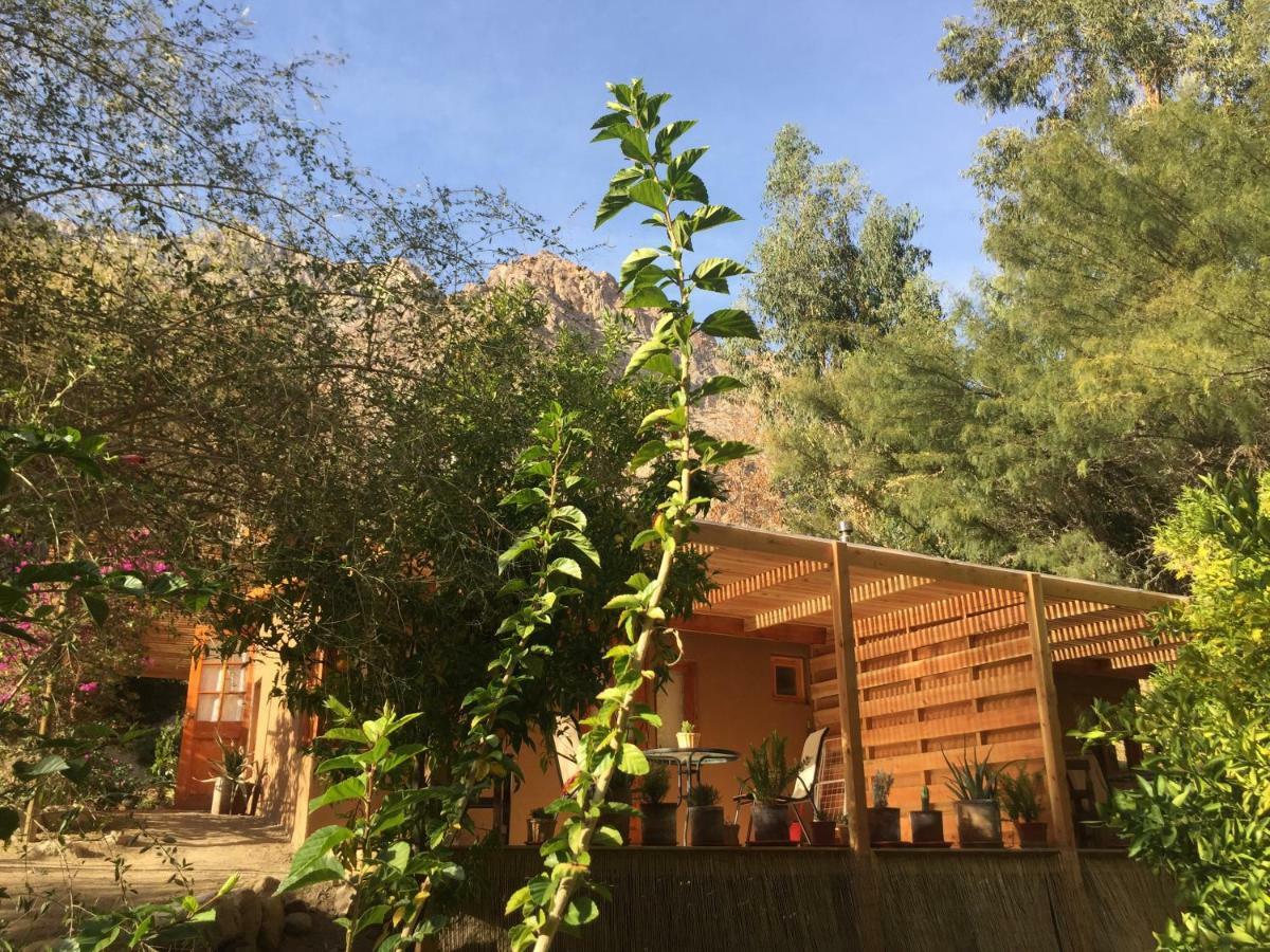 Cabanas El Albaricoque Cochiguaz El Sanjeado Luaran gambar